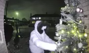 Grinch Steals Mum's 6ft Christmas Tree in Loughborough Porch Theft