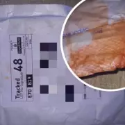 Grisly Parcel Horror: Blood-Soaked Package Delivered to Wrong Address in Quiet UK Neighbourhood