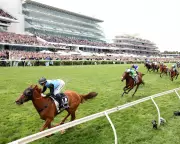 Half Yours Gallops to Glory in Dramatic 2025 Melbourne Cup Upset