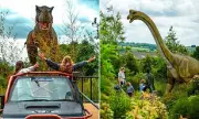 Herefordshire Garden Centre Told to Silence Screeching Dinosaurs After Noise Complaints