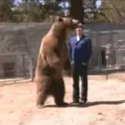 Hollywood Bear Trainer Killed in Tragic Stunt Gone Wrong