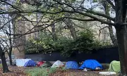 Homeless Migrants Create 'Absolute Misery' Outside Duke of Wellington's £1bn London Mansion