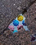 How a London Commuter's Spontaneous Photo Won a Major Photography Award