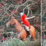 Huntsman Under Police Probe After Shocking Horse Attack Footage Emerges