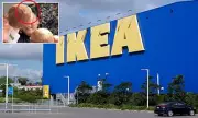 IKEA's Secret Blind Box Launch Sparks Global Collector Frenzy