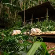 I'm A Celeb 2025: Toughest Ever Start to 'Sap Souls' of Stars