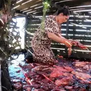 I'm A Celeb's 25th Series Starts With Gruelling Celebrity Challenges