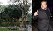 James Corden's Leylandii Hedge Sparks Third Neighbour Spat in 8 Months