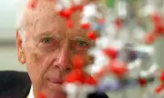 James Watson, DNA Pioneer and Nobel Laureate, Dies at 97