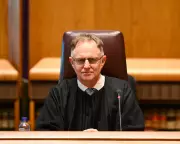 Judges Act as 'Human Filters' for AI in Unsustainable Legal System
