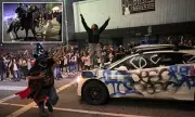LA Dodgers' World Series Celebrations Erupted in Chaos as Tear Gas Deployed Against Crowds