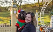 Legoland Windsor Welcomes Dogs for First Time on Select Christmas Dates