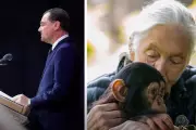 Leonardo DiCaprio's Touching Tribute to Jane Goodall at Funeral