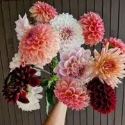 Life in Bloom: An Insider's Look at the Floral Industry's Hidden Challenges