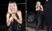 Lily Allen's Night Out Takes Sombre Turn: Singer Looks Downcast During LA Evening With David Harbour