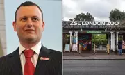 London Zoo Chief Resigns Amid Workplace Conduct Investigation