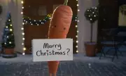 Love Actually Meets Aldi: Kevin the Carrot's Festive Proposal Steals Christmas Advert Crown