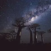 Madagascar: The 'Eighth Continent' With 90% Unique Wildlife