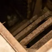 Man discovers hidden 1920s basement with secret tunnel in mountain cabin