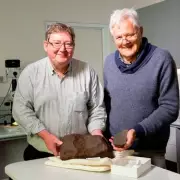 Man's 'Gold' Rock Turns Out to Be 4.6-Billion-Year-Old Meteorite