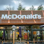 McDonald's Grinch Menu Review: Gherkin Fries Divide Fans