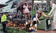 Melbourne Cup Chaos: 'Wheelie Bin Girl' and 'Fairy Floss Woman' Spark Police Intervention After Statue Climbing Antics