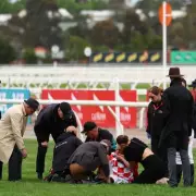 Melbourne Cup Horror: Jockey Blake Shinn Takes Terrifying Tumble in Dramatic Race Fall
