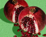 Menstrual Synchrony: The Enduring Myth of Period Syncing Explained