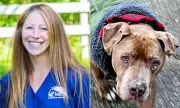 Michigan Vet Jailed for 10 Days After Stealing Homeless Man's Dog