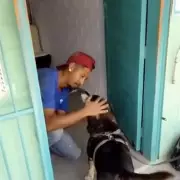 Miracle Reunion: Heartbroken Owner Finds Missing Dog After Five Years in Emotional Search