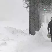 Moon Halo: The Winter Sky's Sign That Snow Is Coming Soon