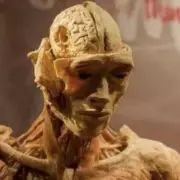 Mother's Horrific Claim: Son's Body Displayed as Museum Statue After Cyanide Death