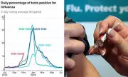 Mutant H3N2 Flu Strain Sparks Fears of UK's Worst Ever Winter