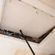 Mystery in the Walls: Couple's Bizarre Discovery During Home Renovation Stuns Experts