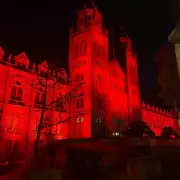 Natural History Museum's Wildlife Photographer of the Year 2024: A Breathtaking Journey Through Nature's Most Stunning Moments