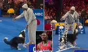 NBA's Tyrese Maxey Tackles Dog Agility Course in Philadelphia
