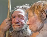 Neanderthals and Early Humans 'Kissed', Oxford Study Reveals