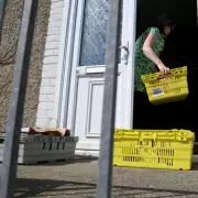 Neighbour's Food Delivery Blunder Sparks Online Debate