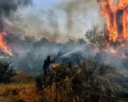 Net Zero Is a Dangerous Distraction From the Real Goal: Eliminating Fossil Fuels, Experts Warn