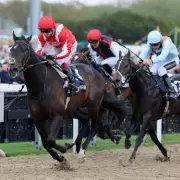 Newsboy's Tuesday Racing Tips: Korroor Nap at Newcastle
