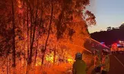 NSW Bushfire Downgraded After 'Too Late to Leave' Alert