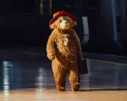 Paddington's London Return: Beloved Bear Gets Spectacular Stage Makeover for 2025