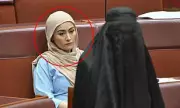 Pauline Hanson's Burqa Stunt in Senate Condemned as 'Despicable'