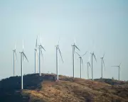 Political Rift Over Net Zero as NSW Nationals Ditch 2050 Target