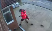Postal Worker's Cement Catastrophe: Royal Mail Employee Caught on Camera Trampling Freshly Laid Driveway