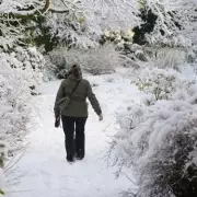 RHS Urges Gardeners to Act Now as Snow and Frost Hit UK