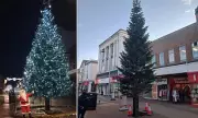 Rhyl's 'Skinny' Christmas Tree Mocked as Symbol of Shrinkflation