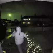 Ring Doorbell Captures Grinch Stealing Mum's 6ft Christmas Tree