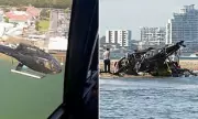 Sea World Helicopter Crash Inquest: Harrowing Footage Revealed