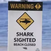Shark Attack Kills Woman in 20s at Australian Beach